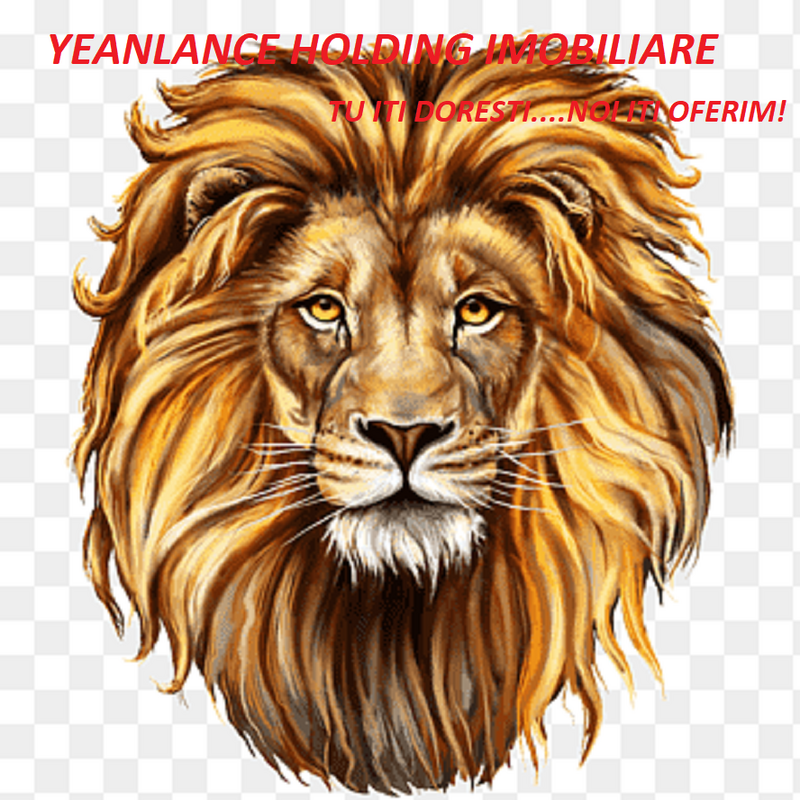 Agent imobiliar pentru Yeanlance Holding Imobiliare, urgent,