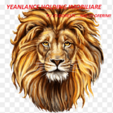 Agent imobiliar pentru Yeanlance Holding Imobiliare, urgent